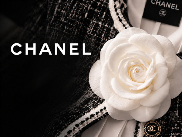 シャネルのカメリアに込められた意味｜CHANELを象徴する花の物語 |TC JAPAN