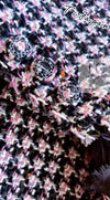 CHANEL 08PF $14K Pink Wool Demi Couture Tweed Coat 38 シャネル ピンク ウール デミ クチュール ツイード ロング コート 即発