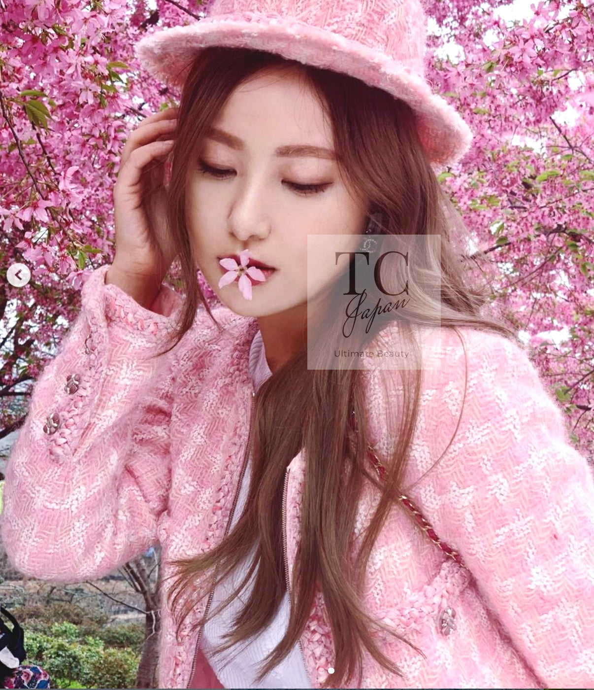 CHANEL 14A Pink White Wool Mohair Zipper Collarless Tweed Jacket 34 シャネル ピンク ホワイト ウール モヘア ジッパー ノーカラー ツイード ジャケット 即発