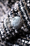 CHANEL 05S Gray Silvet Double Tweed Jacket 38 シャネル グレー シルバー ダブル ツイード ジャケット 即発